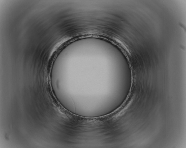 X0000091881117200709051009