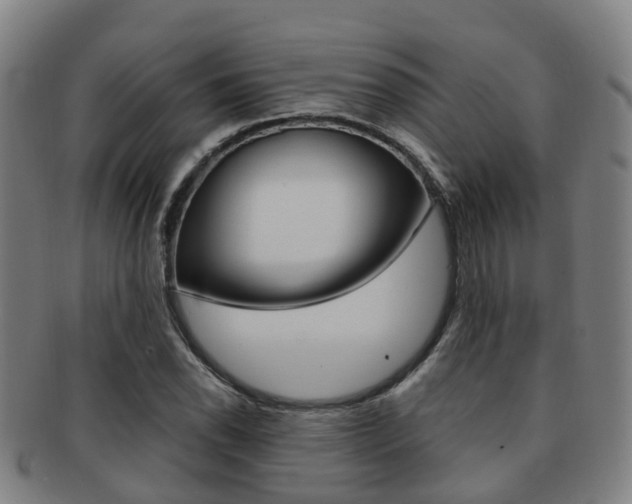 X0000091881118200709051009
