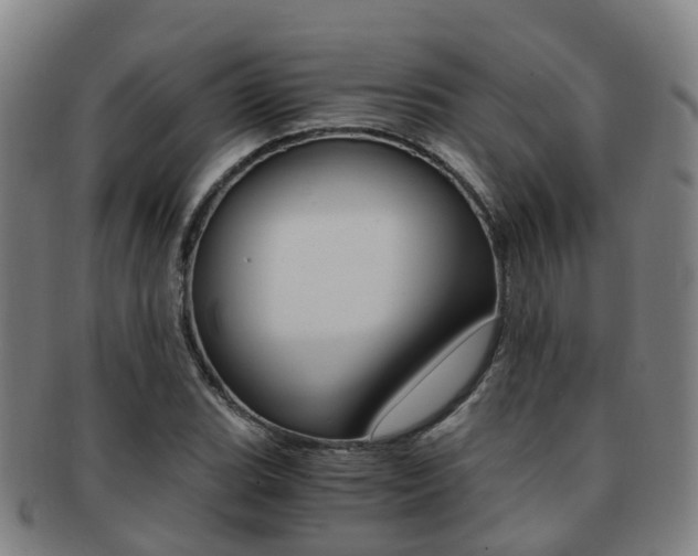 X0000091881119200709051009