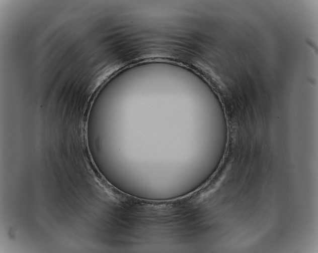 X0000091881121200709051009