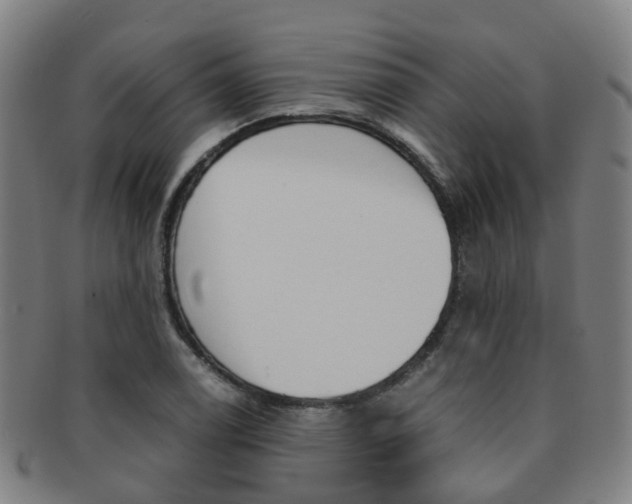 X0000091881122200709051009