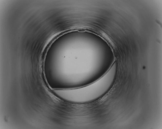 X0000091881124200709051009