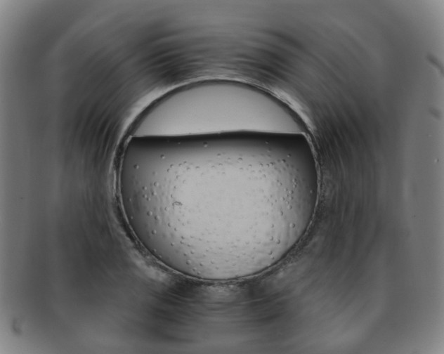 X0000091881125200709051009