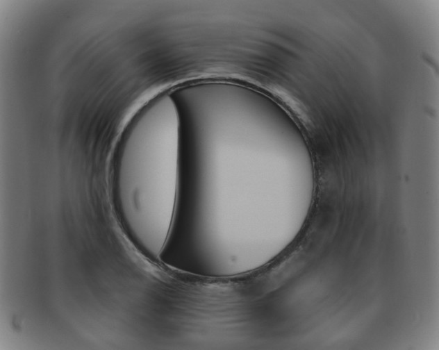 X0000091881126200709051009