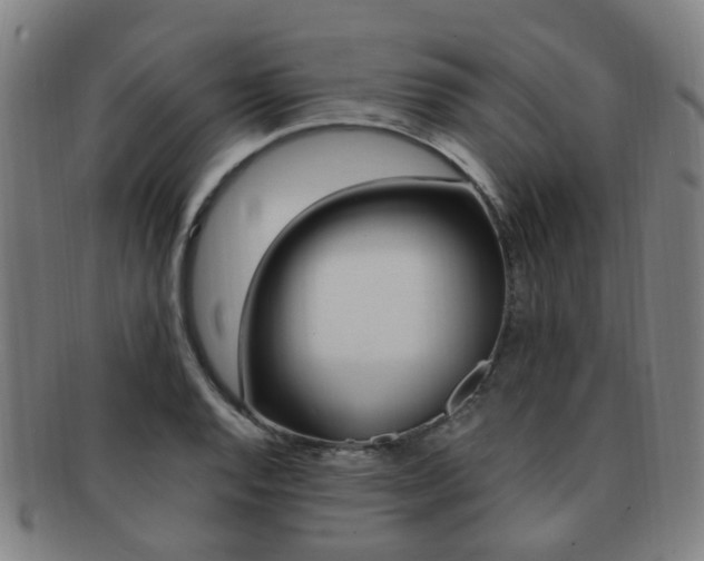 X0000091881128200709051009