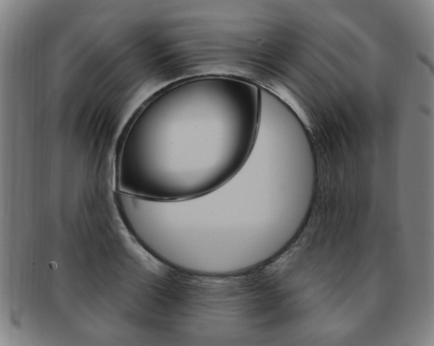 X0000091881132200709051010