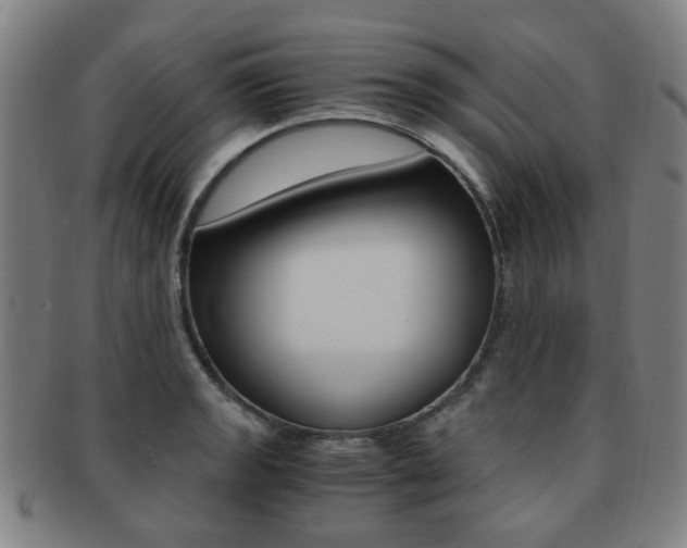 X0000091881133200709051010