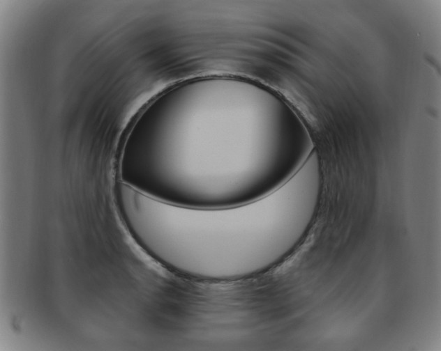 X0000091881134200709051010