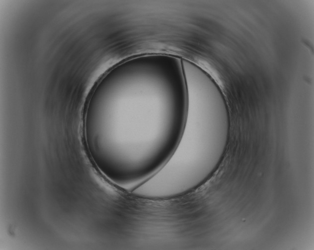 X0000091881136200709051010