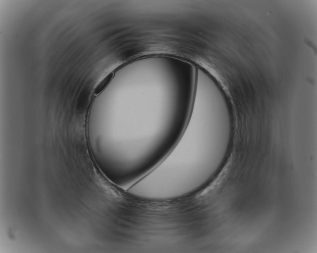 X0000091881137200709051010
