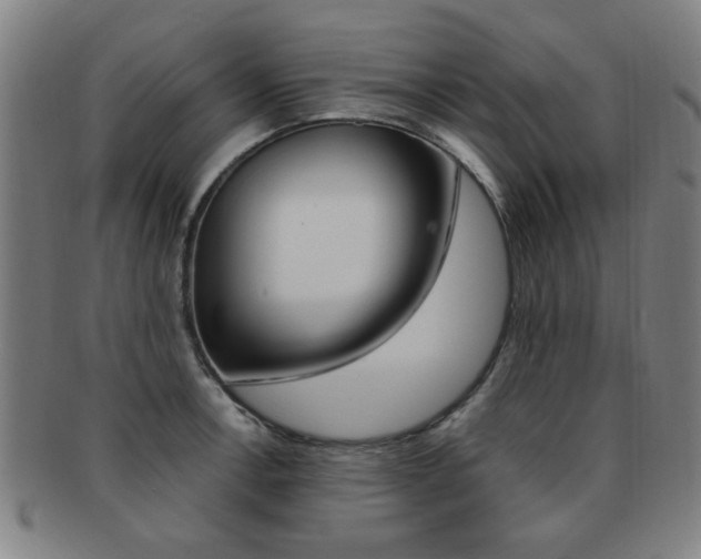 X0000091881138200709051010
