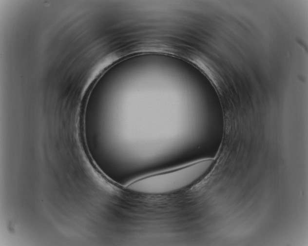 X0000091881139200709051010