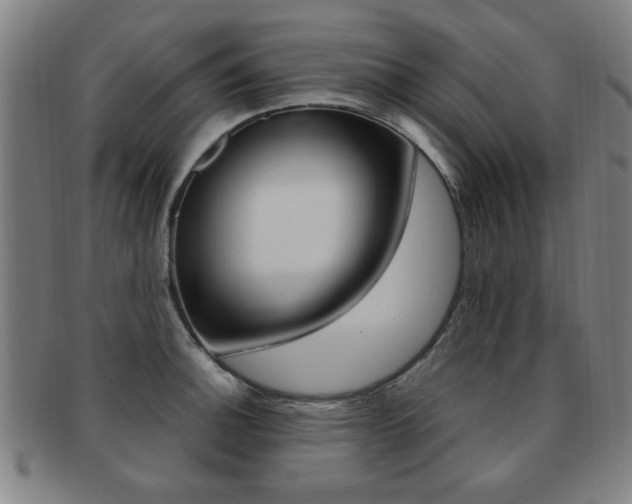 X0000091881140200709051010