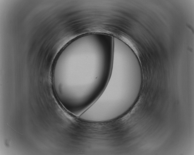 X0000091881141200709051010