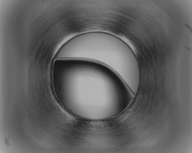 X0000091881142200709051010
