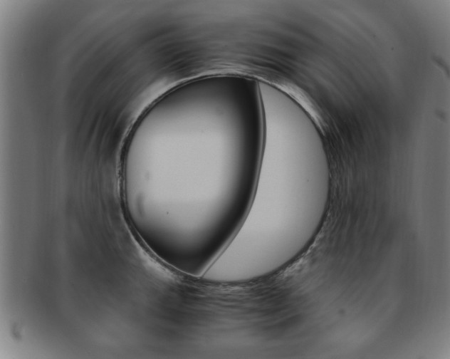 X0000091881143200709051010