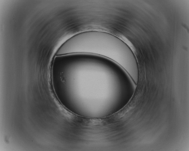 X0000091881144200709051010
