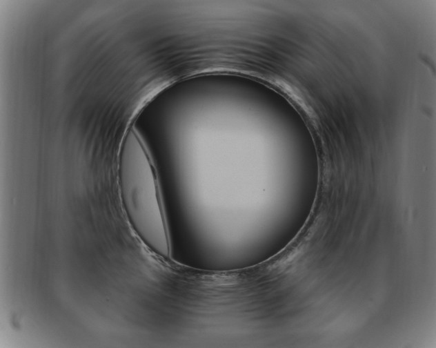X0000091881145200709051010