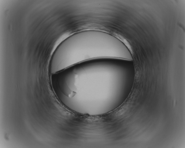 X0000091881146200709051010