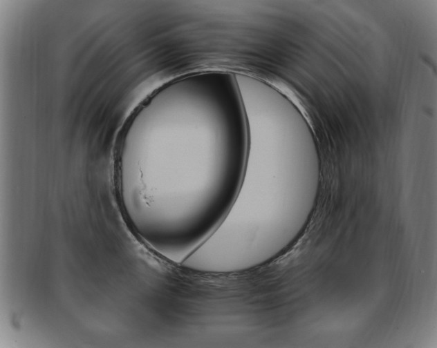 X0000091881147200709051010