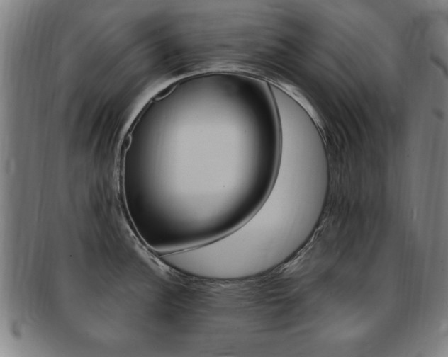 X0000091881148200709051010