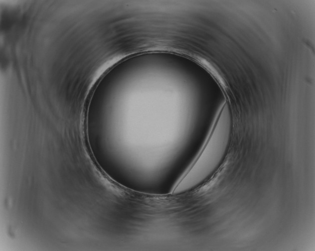 X0000091881149200709051010