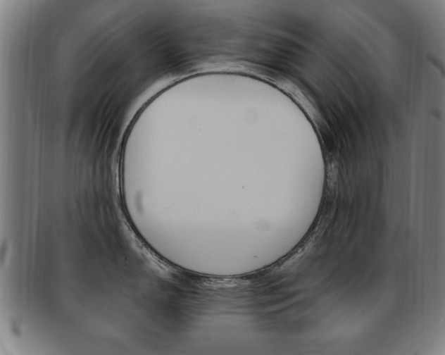 X0000091881150200709051010