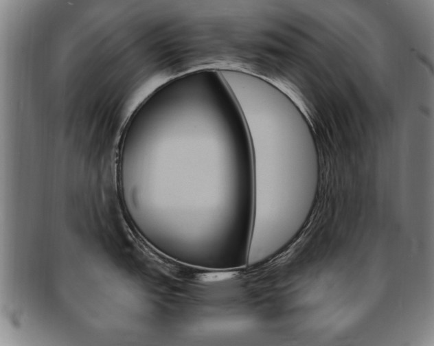 X0000091881151200709051010