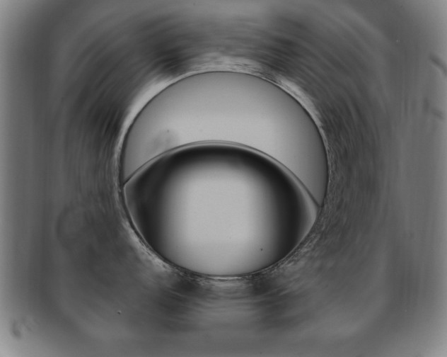 X0000091881152200709051010