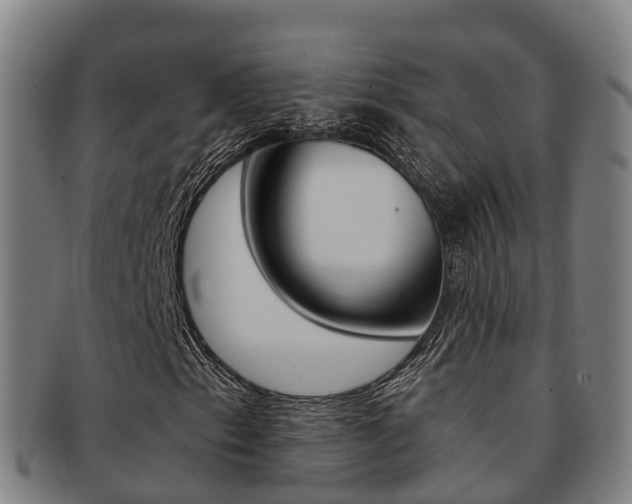 X0000091881153200709051009