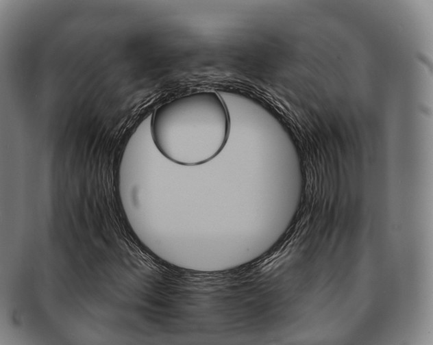 X0000091881156200709051009