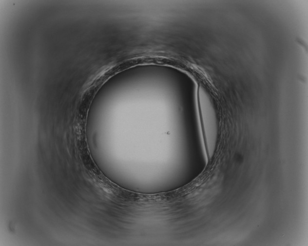 X0000091881159200709051009