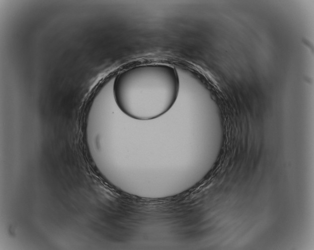 X0000091881160200709051009