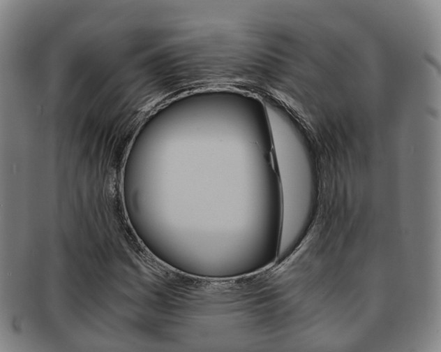 X0000091881161200709051009