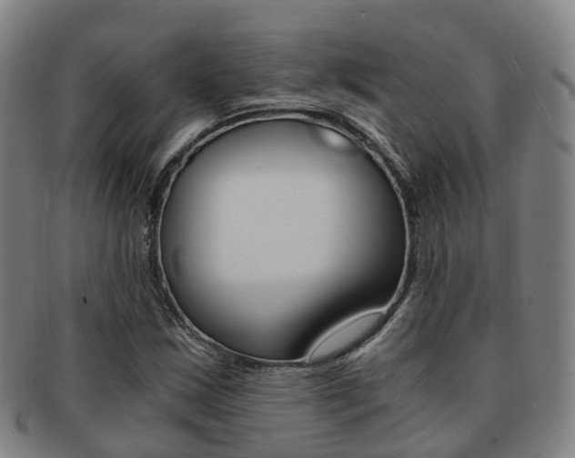 X0000091881163200709051009