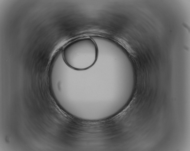 X0000091881164200709051009