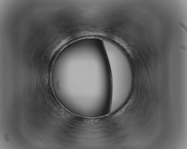 X0000091881165200709051009