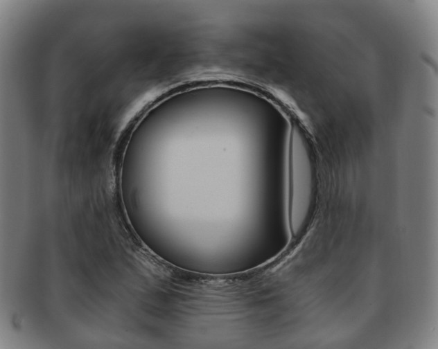 X0000091881167200709051009