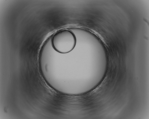 X0000091881168200709051009