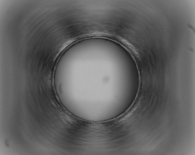 X0000091881170200709051009