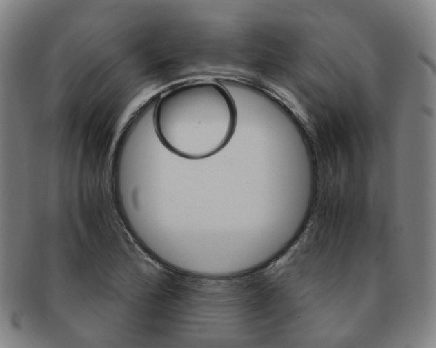 X0000091881172200709051009