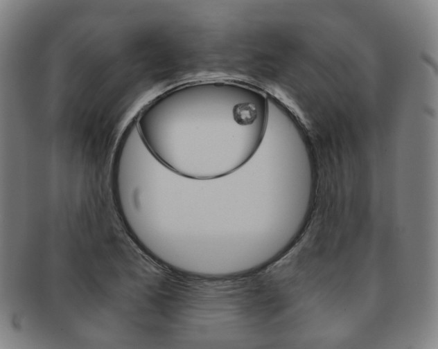 X0000091881173200709051009