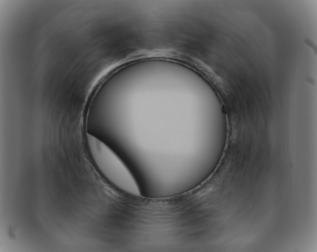 X0000091881174200709051009