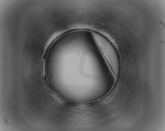 X0000091881175200709051009