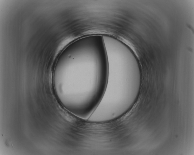 X0000091881179200709051009