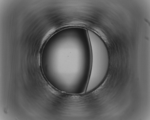 X0000091881180200709051009