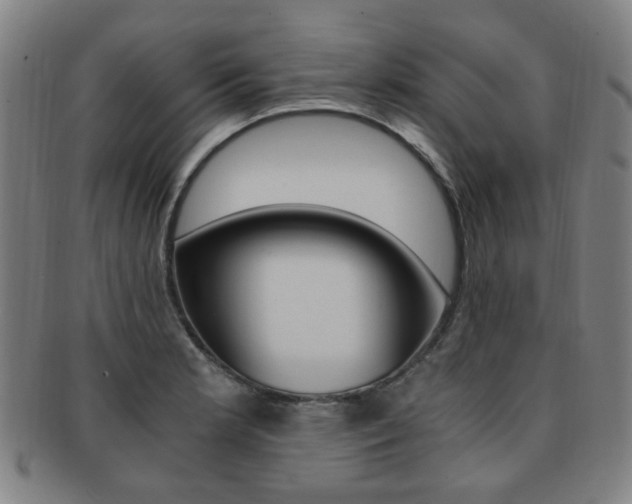 X0000091881181200709051009