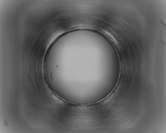 X0000091881182200709051009