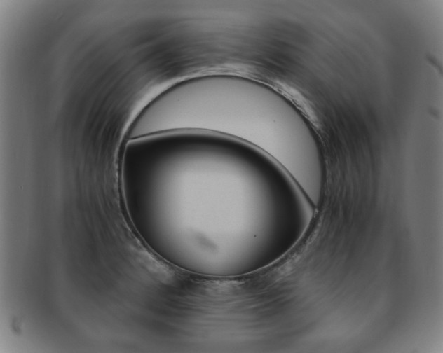 X0000091881184200709051009