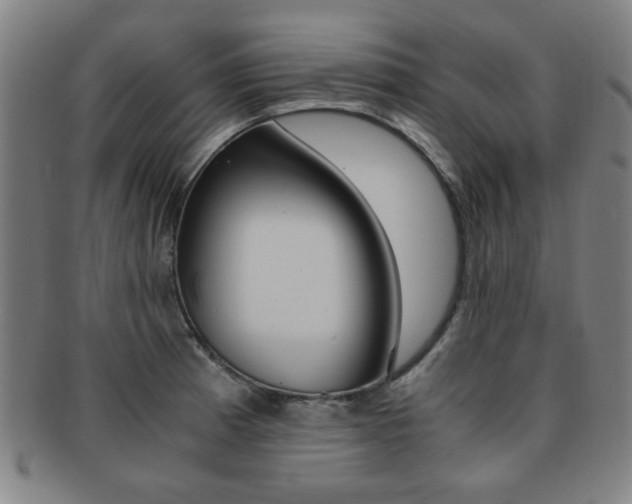 X0000091881185200709051009